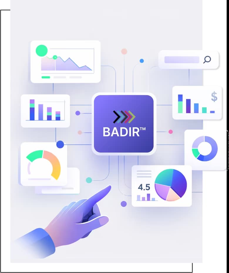BADIR Tool